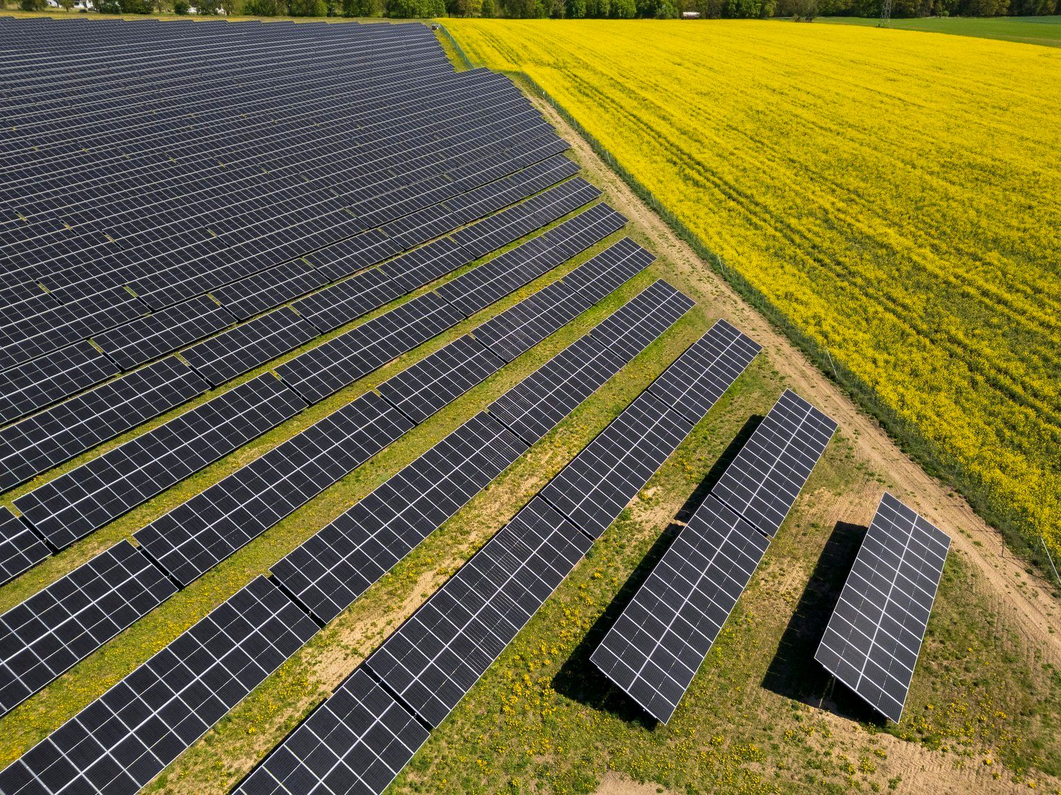 Farmy fotowoltaiczne Krapkowice, Strzelce Opolskie & Gromadka (w trakcie budowy)-main-image